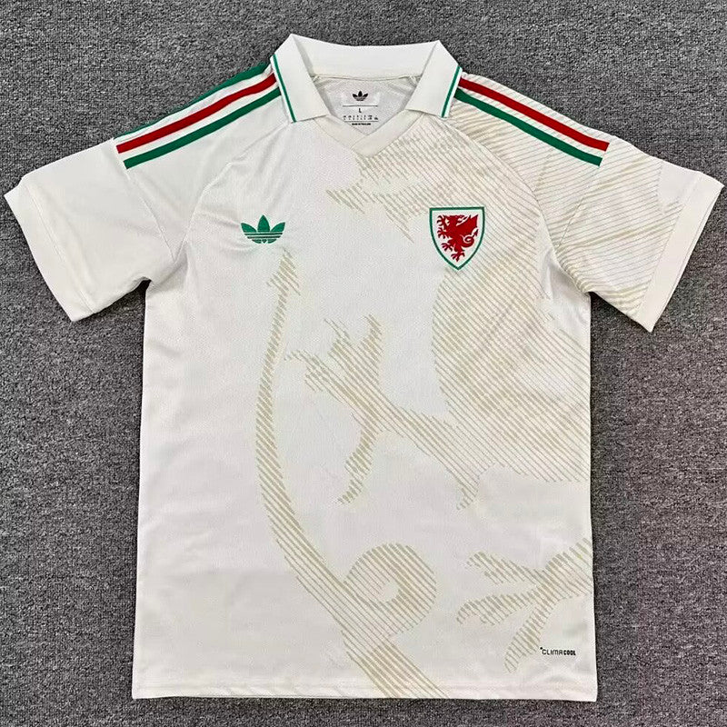 Wales Jersey 22/23