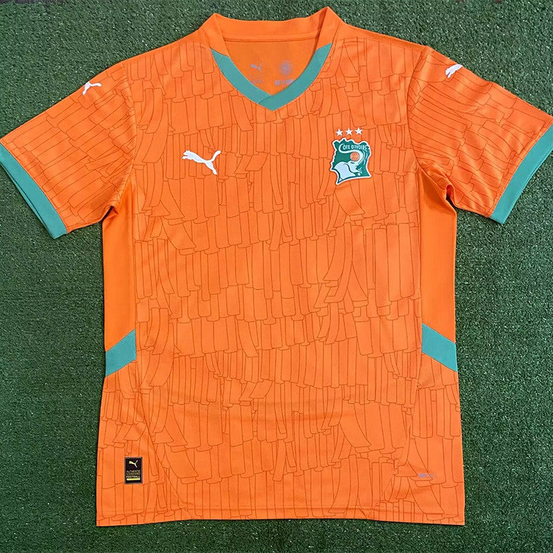 Elfenbeinküste Trikot 22/23