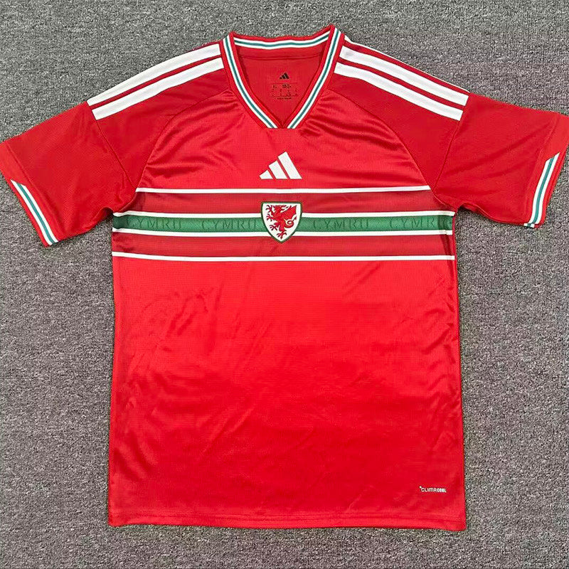 Wales Jersey 22/23